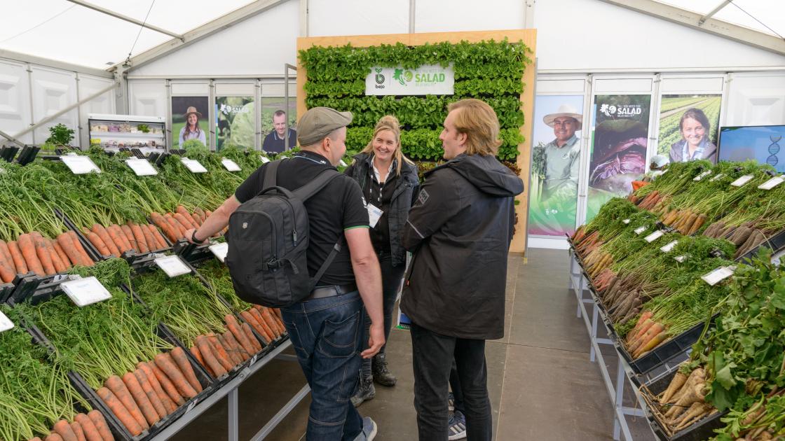 Bejo Open Days 2026