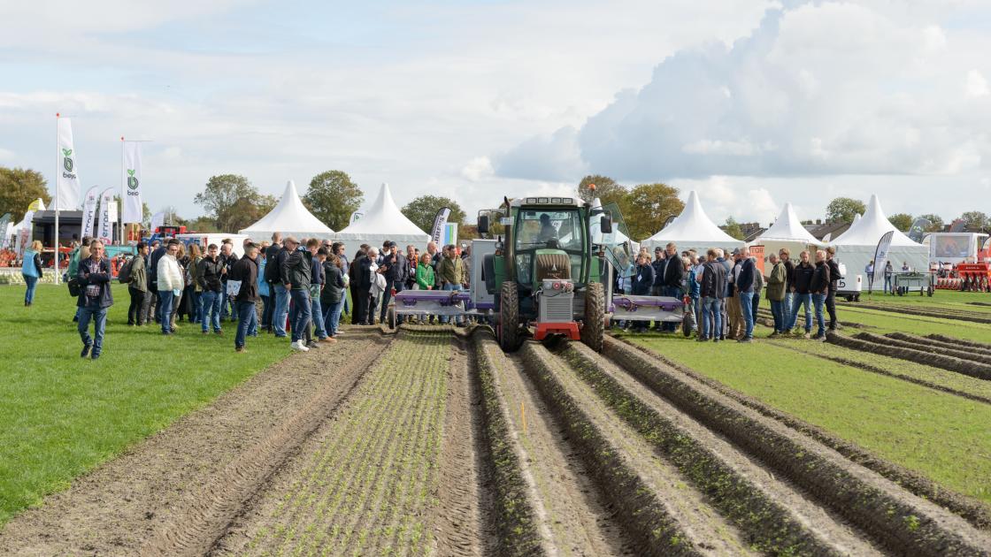 Bejo Open Days 2026