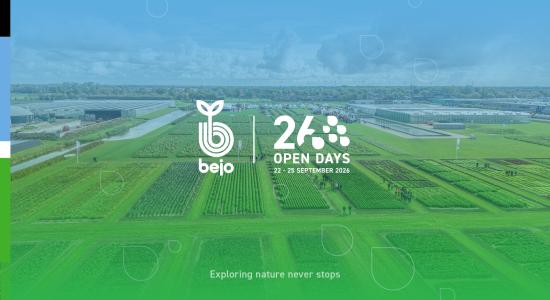 Bejo Open Days 2026