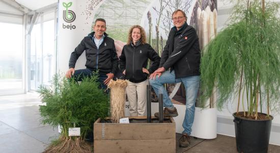 John Gielen, Yvonne van der Vorst und Günter Hugenberg von Bejo präsentieren den Erfolg in der Spargelzüchtung.