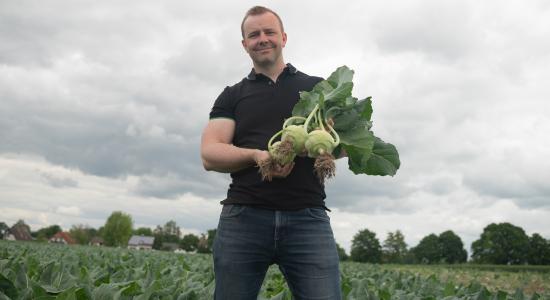 Kohlrabi Kosma